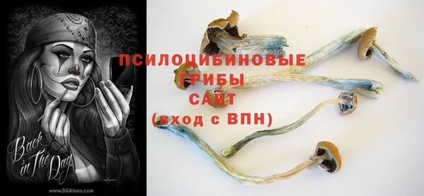 MDMA Premium VHQ Белокуриха