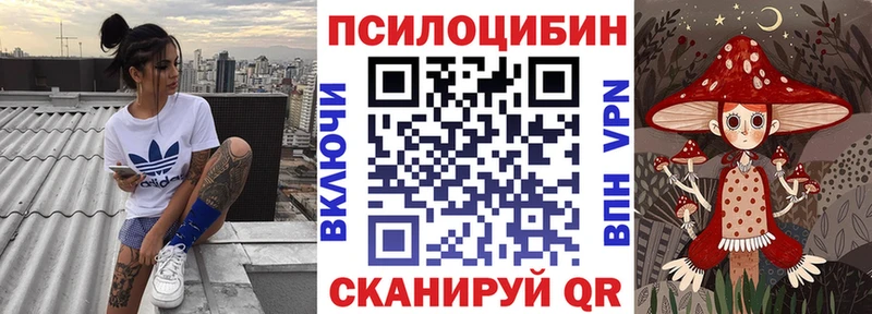 дарнет шоп  Гулькевичи  блэк спрут маркетплейс  Псилоцибиновые грибы GOLDEN TEACHER 