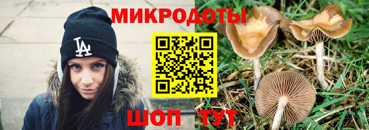 Галлюциногенные грибы MAGIC MUSHROOMS  Псилоцибиновые грибы Psilocybe  Гулькевичи  Вход с VPN 