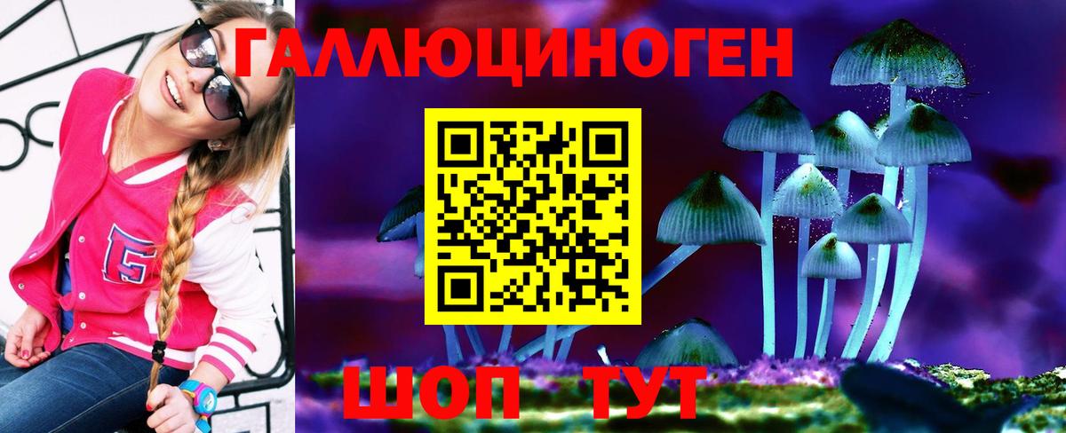 Галлюциногенные грибы Psilocybine cubensis Гулькевичи