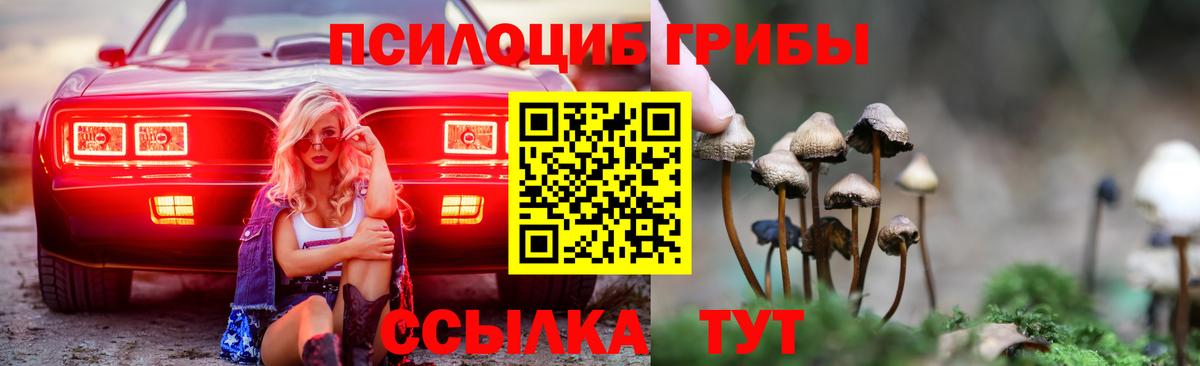 закладка  Гулькевичи  Галлюциногенные грибы мицелий  Псилоцибиновые грибы Cubensis 